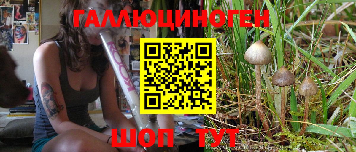 Псилоцибиновые грибы Magic Shrooms Лениногорск