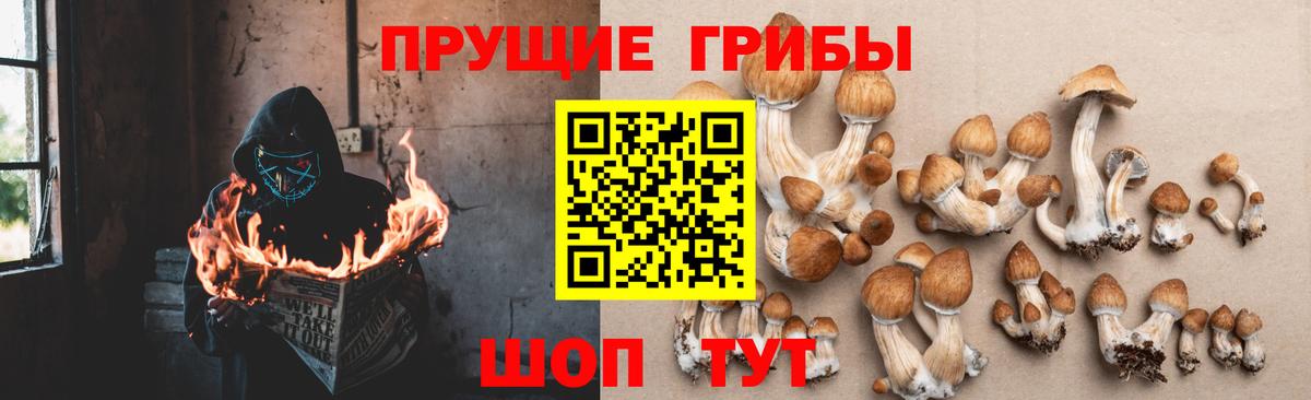 Псилоцибиновые грибы Magic Shrooms  Галлюциногенные грибы ЛСД  Лениногорск  Вход с VPN 